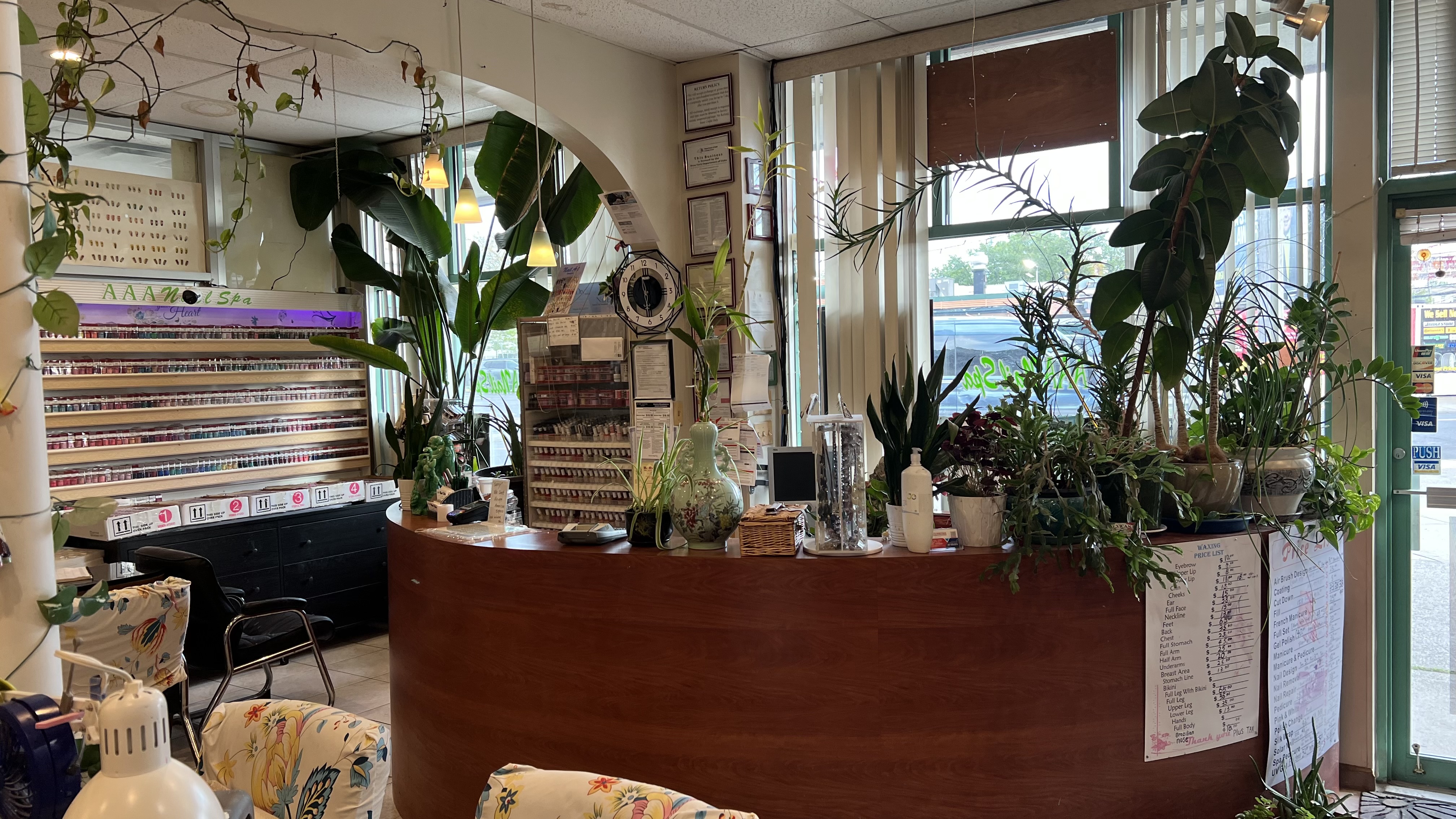 Reception desk with plants